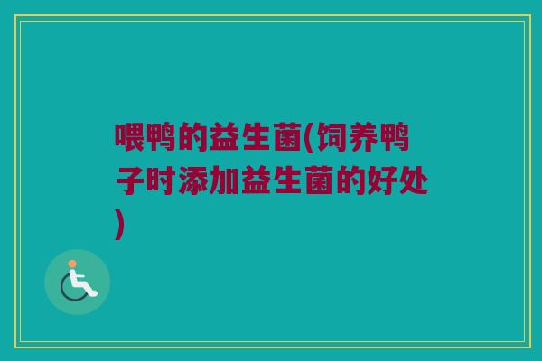 喂鸭的益生菌(饲养鸭子时添加益生菌的好处)