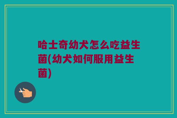 哈士奇幼犬怎么吃益生菌(幼犬如何服用益生菌)