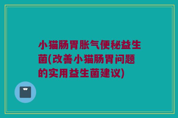 小猫肠胃胀气便秘益生菌(改善小猫肠胃问题的实用益生菌建议)