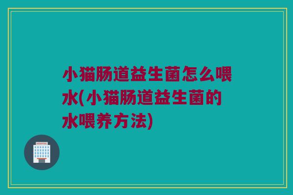 小猫肠道益生菌怎么喂水(小猫肠道益生菌的水喂养方法) 小猫肠道益生菌怎么喂水(小猫肠道益生菌的水喂养方法)