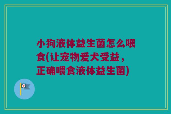 小狗液体益生菌怎么喂食(让宠物爱犬受益,正确喂食液体益生菌) 小狗液体益生菌怎么喂食(让宠物爱犬受益,正确喂食液体益生菌)