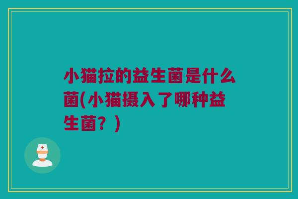 小猫拉的益生菌是什么菌(小猫摄入了哪种益生菌？)