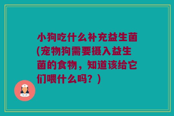 小狗吃什么补充益生菌(宠物狗需要摄入益生菌的食物,知道该给它们喂什么吗?) 小狗吃什么补充益生菌(宠物狗需要摄入益生菌的食物,知道该给它们喂什么吗?)