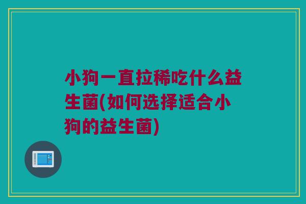 小狗一直拉稀吃什么益生菌(如何选择适合小狗的益生菌)