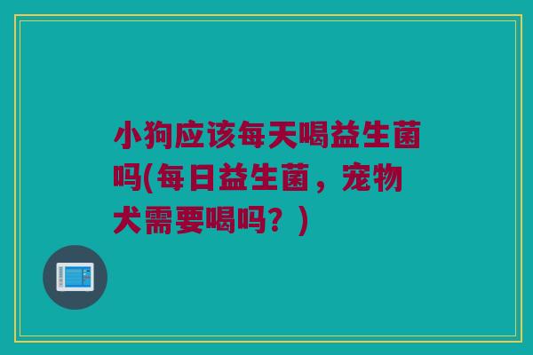 小狗应该每天喝益生菌吗(每日益生菌,宠物犬需要喝吗?) 小狗应该每天喝益生菌吗(每日益生菌,宠物犬需要喝吗?)