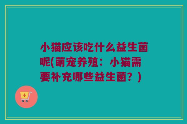 小猫应该吃什么益生菌呢(萌宠养殖：小猫需要补充哪些益生菌？)