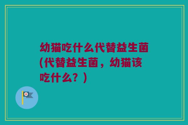 幼猫吃什么代替益生菌(代替益生菌，幼猫该吃什么？)