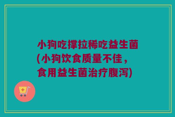 小狗吃撑拉稀吃益生菌(小狗饮食质量不佳,食用益生菌) 小狗吃撑拉稀吃益生菌(小狗饮食质量不佳,食用益生菌)