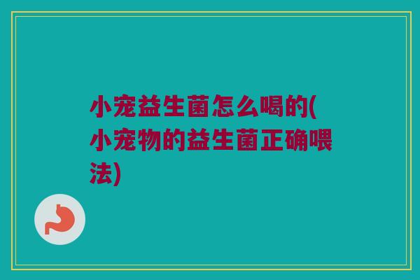 小宠益生菌怎么喝的(小宠物的益生菌正确喂法)