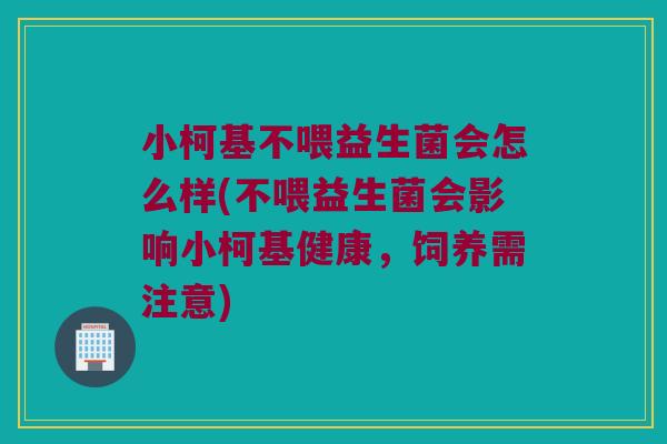 小柯基不喂益生菌会怎么样(不喂益生菌会影响小柯基健康，饲养需注意)