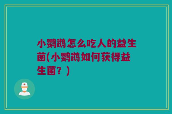 小鹦鹉怎么吃人的益生菌(小鹦鹉如何获得益生菌？)