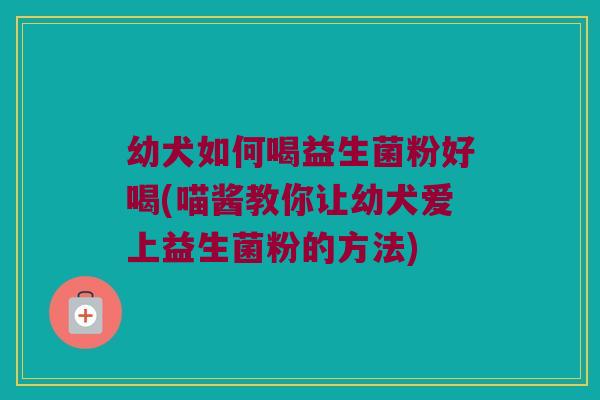 幼犬如何喝益生菌粉好喝(喵酱教你让幼犬爱上益生菌粉的方法)