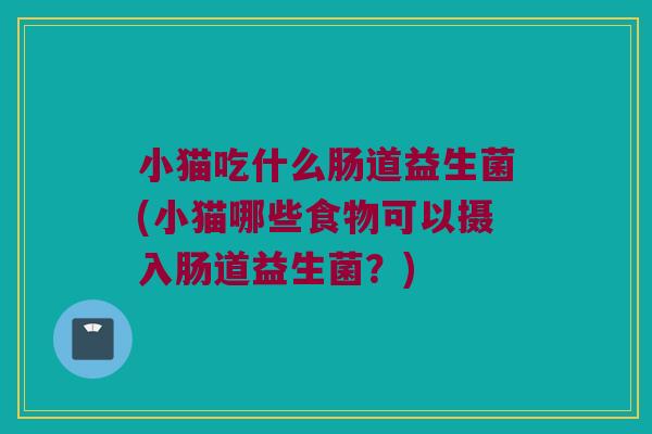 小猫吃什么肠道益生菌(小猫哪些食物可以摄入肠道益生菌?) 小猫吃什么肠道益生菌(小猫哪些食物可以摄入肠道益生菌?)