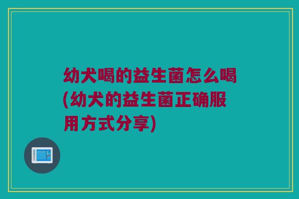 幼犬喝的益生菌怎么喝(幼犬的益生菌正确服用方式分享)