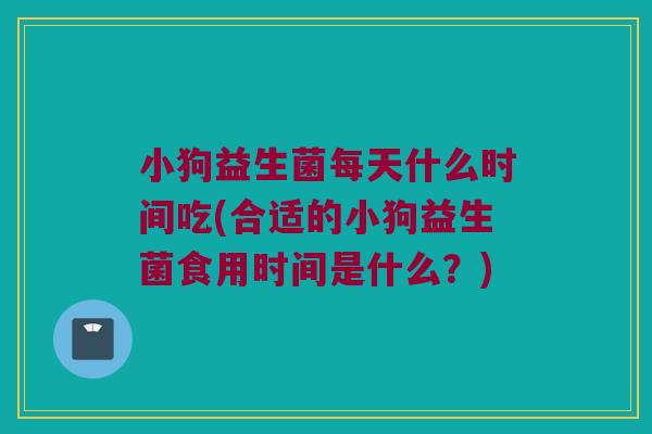 小狗益生菌每天什么时间吃(合适的小狗益生菌食用时间是什么?) 小狗益生菌每天什么时间吃(合适的小狗益生菌食用时间是什么?)