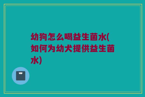 幼狗怎么喝益生菌水(如何为幼犬提供益生菌水)