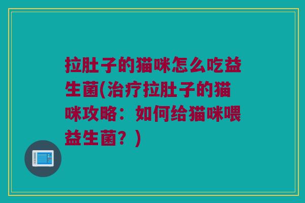 拉肚子的猫咪怎么吃益生菌(治疗拉肚子的猫咪攻略：如何给猫咪喂益生菌？)