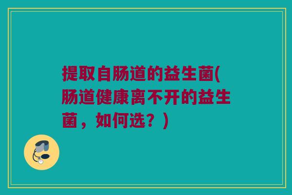 提取自肠道的益生菌(肠道健康离不开的益生菌,如何选?) 提取自肠道的益生菌(肠道健康离不开的益生菌,如何选?)