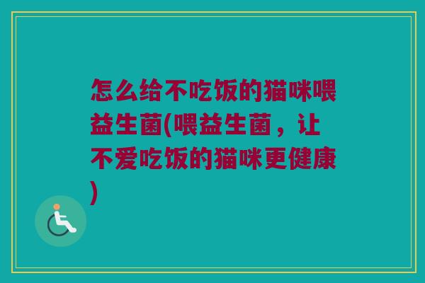 怎么给不吃饭的猫咪喂益生菌(喂益生菌，让不爱吃饭的猫咪更健康)