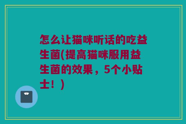 怎么让猫咪听话的吃益生菌(提高猫咪服用益生菌的效果，5个小贴士！)