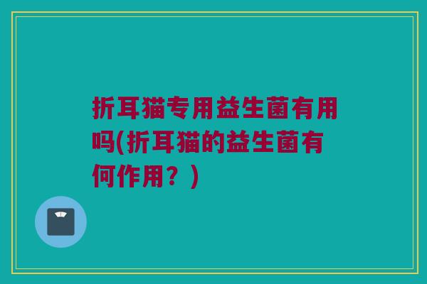 折耳猫专用益生菌有用吗(折耳猫的益生菌有何作用?) 折耳猫专用益生菌有用吗(折耳猫的益生菌有何作用?)