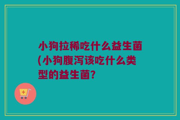 小狗拉稀吃什么益生菌(小狗腹泻该吃什么类型的益生菌？