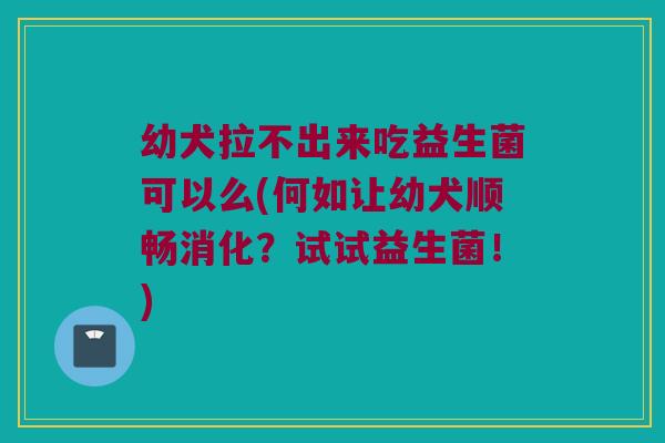 幼犬拉不出来吃益生菌可以么(何如让幼犬顺畅消化？试试益生菌！)