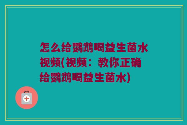 怎么给鹦鹉喝益生菌水视频(视频：教你正确给鹦鹉喝益生菌水)