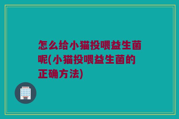 怎么给小猫投喂益生菌呢(小猫投喂益生菌的正确方法) 怎么给小猫投喂益生菌呢(小猫投喂益生菌的正确方法)