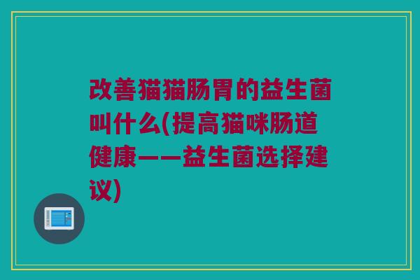 改善猫猫肠胃的益生菌叫什么(提高猫咪肠道健康——益生菌选择建议)