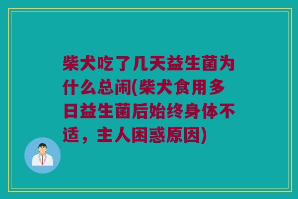 柴犬吃了几天益生菌为什么总闹(柴犬食用多日益生菌后始终身体不适，主人困惑原因)