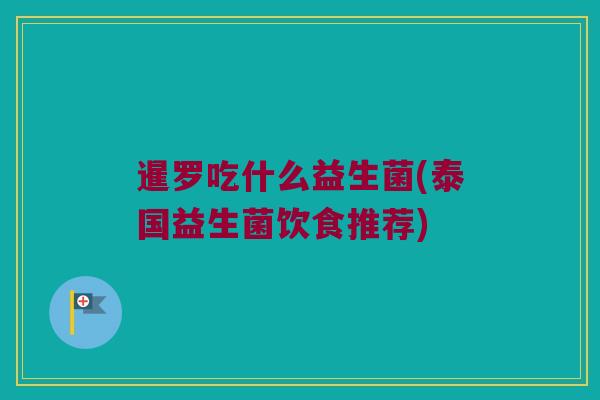 暹罗吃什么益生菌(泰国益生菌饮食推荐)