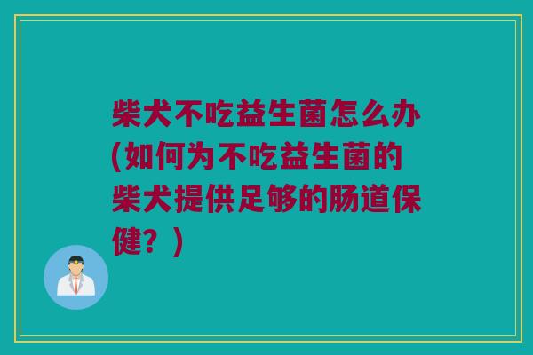 柴犬不吃益生菌怎么办(如何为不吃益生菌的柴犬提供足够的肠道保健?) 柴犬不吃益生菌怎么办(如何为不吃益生菌的柴犬提供足够的肠道保健?)