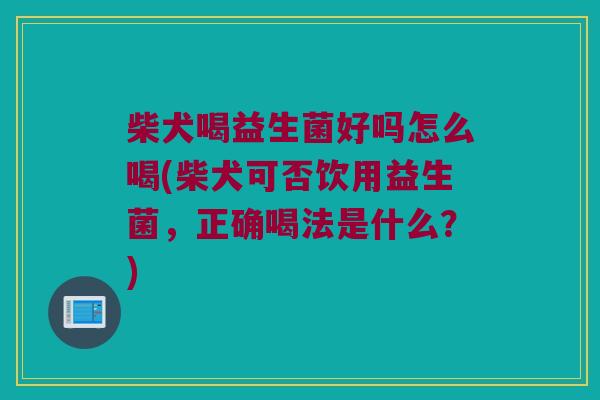 柴犬喝益生菌好吗怎么喝(柴犬可否饮用益生菌，正确喝法是什么？)