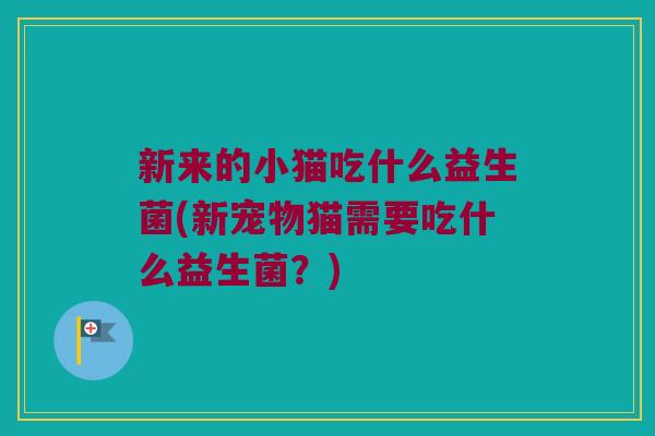 新来的小猫吃什么益生菌(新宠物猫需要吃什么益生菌?) 新来的小猫吃什么益生菌(新宠物猫需要吃什么益生菌?)