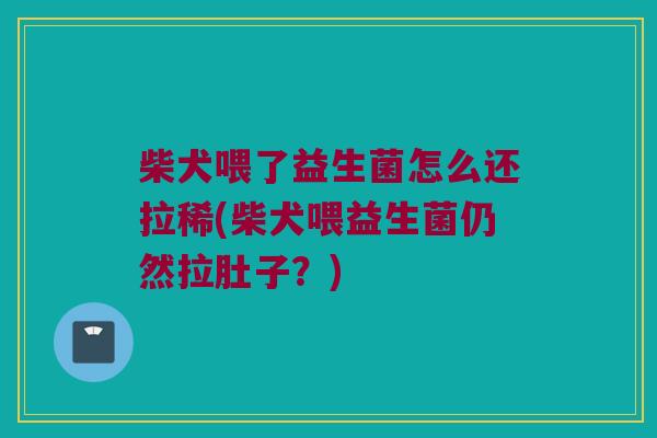 柴犬喂了益生菌怎么还拉稀(柴犬喂益生菌仍然拉肚子？)