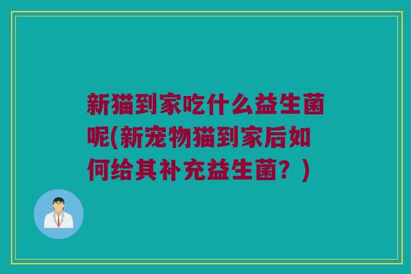 新猫到家吃什么益生菌呢(新宠物猫到家后如何给其补充益生菌？)