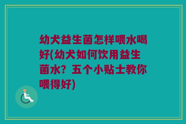 幼犬益生菌怎样喂水喝好(幼犬如何饮用益生菌水？五个小贴士教你喂得好)