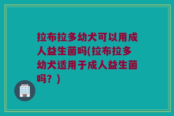 拉布拉多幼犬可以用成人益生菌吗(拉布拉多幼犬适用于成人益生菌吗？)