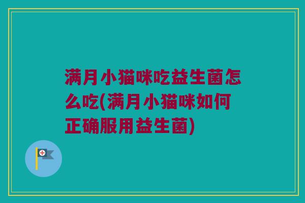 满月小猫咪吃益生菌怎么吃(满月小猫咪如何正确服用益生菌)