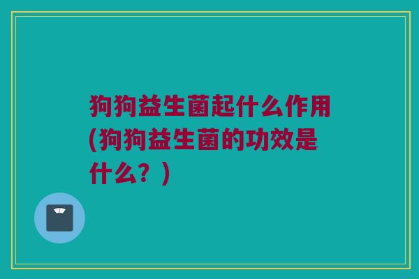 狗狗益生菌起什么作用(狗狗益生菌的功效是什么？)