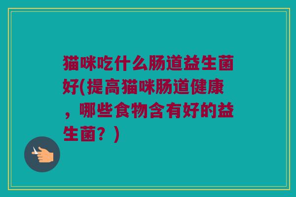猫咪吃什么肠道益生菌好(提高猫咪肠道健康，哪些食物含有好的益生菌？)