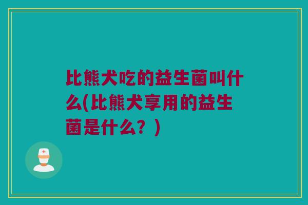 比熊犬吃的益生菌叫什么(比熊犬享用的益生菌是什么?) 比熊犬吃的益生菌叫什么(比熊犬享用的益生菌是什么?)
