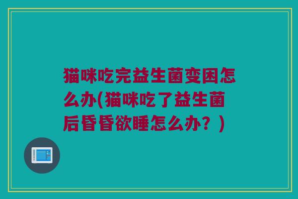 猫咪吃完益生菌变困怎么办(猫咪吃了益生菌后昏昏欲睡怎么办？)