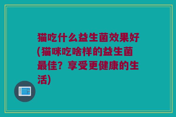 猫吃什么益生菌效果好(猫咪吃啥样的益生菌最佳？享受更健康的生活)
