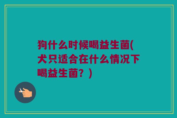 狗什么时候喝益生菌(犬只适合在什么情况下喝益生菌？)