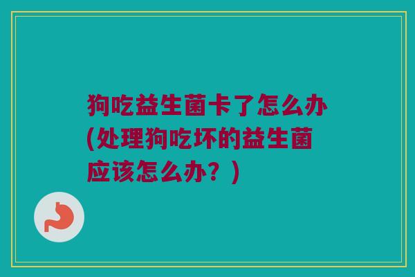 狗吃益生菌卡了怎么办(处理狗吃坏的益生菌应该怎么办?) 狗吃益生菌卡了怎么办(处理狗吃坏的益生菌应该怎么办?)