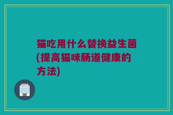 猫吃用什么替换益生菌(提高猫咪肠道健康的方法)