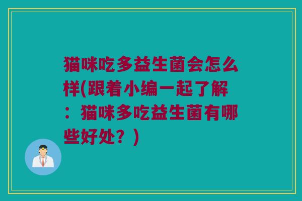 猫咪吃多益生菌会怎么样(跟着小编一起了解：猫咪多吃益生菌有哪些好处？)