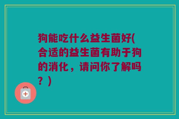 狗能吃什么益生菌好(合适的益生菌有助于狗的消化，请问你了解吗？)
